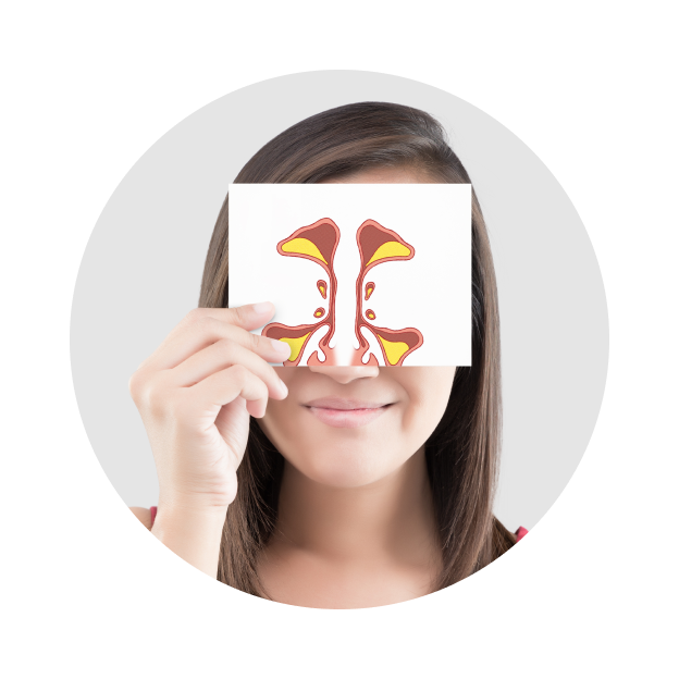 УЗИ пазухи носа УЗИ пазухи носа