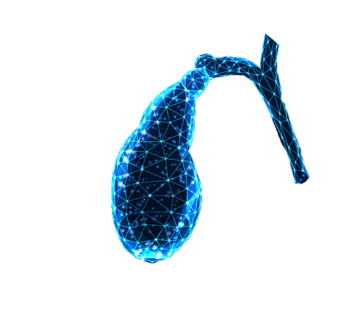 МРТ желчного пузыря