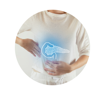 КТ поджелудочной железы с контрастированием КТ поджелудочной железы с контрастированием